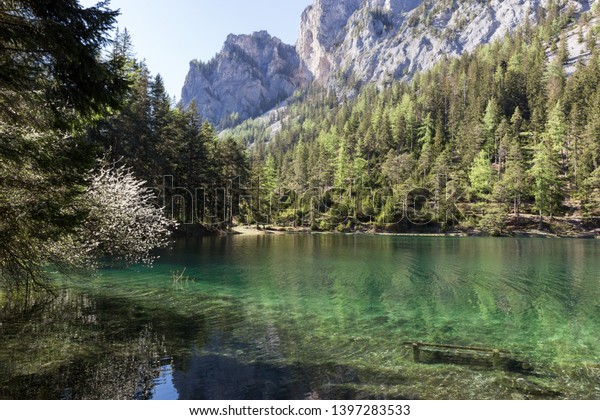 Green Lake Der See Styria Austria Stock Photo Edit Now 1397283533