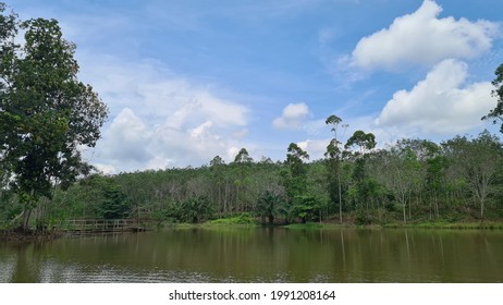 Green Lake In Hometown, Feel Nature