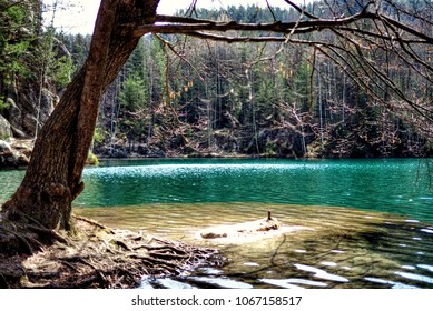 Green Lake in the Rocky Canyon with the Tree in Foreground in the Arspach-Teplice, the Czech Republic