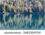 Green Lakes State Park in Syracuse, New York. View of treelined shore with a beautiful reflection of trees in the water on a sunny winter day. 