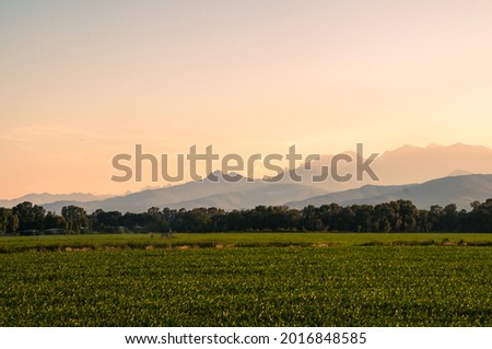 Green land on the forground with moutains in the back during sunset