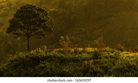 Green landscape - Shutterstock ID 163619297