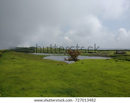 Green Landscape
