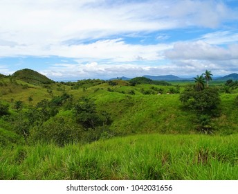 Green Landscape In Boca Chica. Chiriqui. Panama 