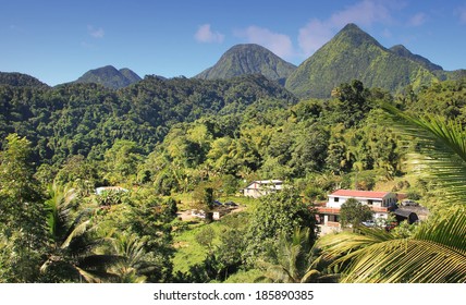 Green Landscape From The Island Dominican Republic.