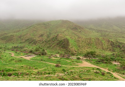 Green Landscape In Salalah, Oman