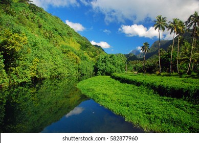 Green Landscape Of Tahiti