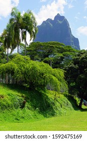 Green Landscape View On The Island Of Moorea Near Tahiti In French Polynesia, South Pacific