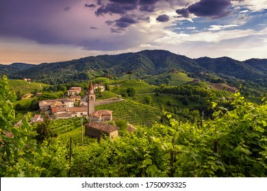 
Green Landscapes On The Prosecco Hills