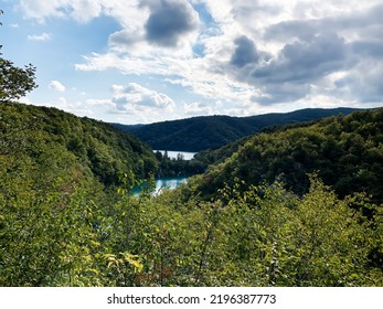 Green Lanscape With Water In The Background