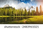 Green larch forest surrounded by rocky peaks near the lake Antorno. Location place reserve Tre Cime di Lavaredo, Dolomite, Italy, South Tyrol, Europe. Photo wallpaper. Discovery the beauty of earth.
