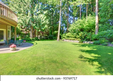 Green Large Back Yard With Pine Trees.