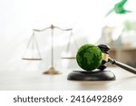 Green law concept. international environmental law Climate or environmental justice Law on green forest conservation economy Environmental protection. Legal hammer placed on the desk