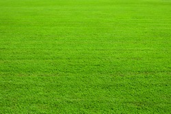 Green lawn background | Nature Stock Photos ~ Creative Market