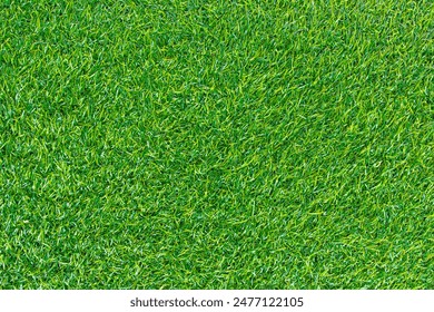 Green lawn for background.
Green grass background texture. top view. - Powered by Shutterstock