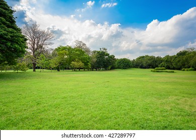 Зеленый лужайка с голубым небом и облаками в парке