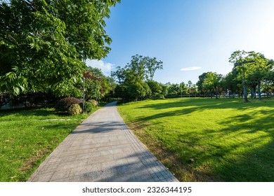 green lawn in city park - Powered by Shutterstock