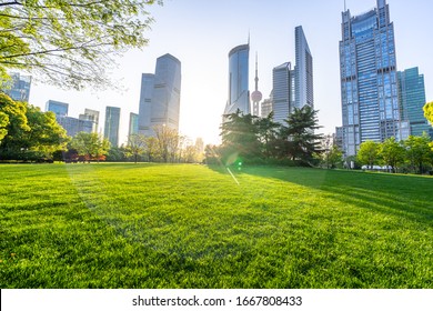 Green Lawn With City Skyline In Shanghai China