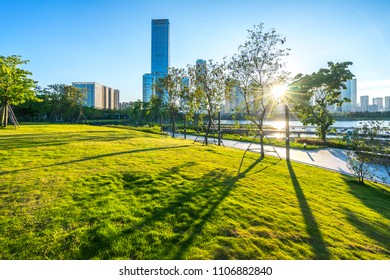 Green Lawn With City Skyline In Shenzhen China