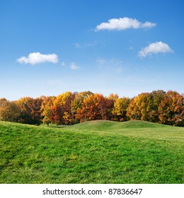 Green Lawn And Colorful Autumn Trees On Blue Sky Background