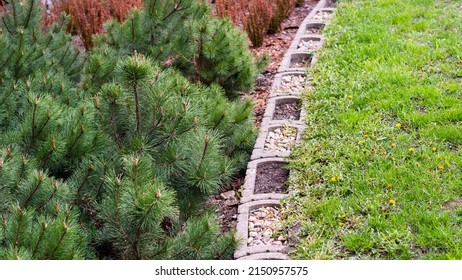 Green Lawn, Flower Beds, A View Of The Playground, A Beautiful Area Near The Apartment Building. Banner.