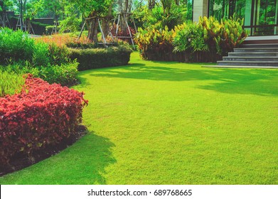 Green lawn, The front lawn for background, Garden landscape design.