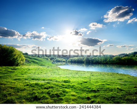 Green lawn near river in the forest