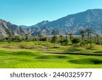 Green lawn and palm trees on a golf course in Palm Springs, California