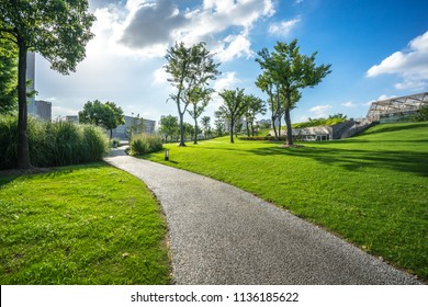 Green Lawn In The Park