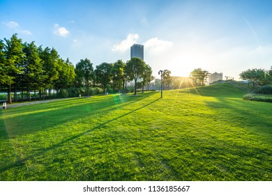 Green Lawn Park Stock Photo 1136185667 | Shutterstock