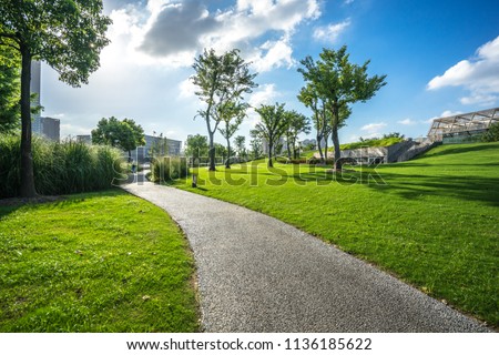 green lawn in the park