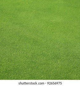 Green Lawn, Putting Green