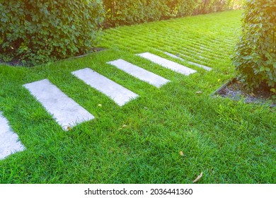 Green lawn and road surface from paving slabs in backyard. Gray color stepping tiles floor, strip line concrete pavement and green grass carpet lawn. Concrete paving with tiles and cut grass in park. - Powered by Shutterstock