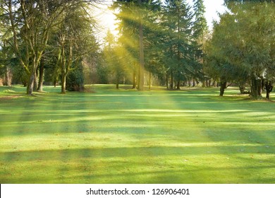 3,752,481 Sunny park Images, Stock Photos & Vectors | Shutterstock