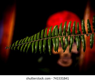 Green leaf