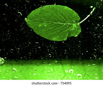 green, leaf abstract2