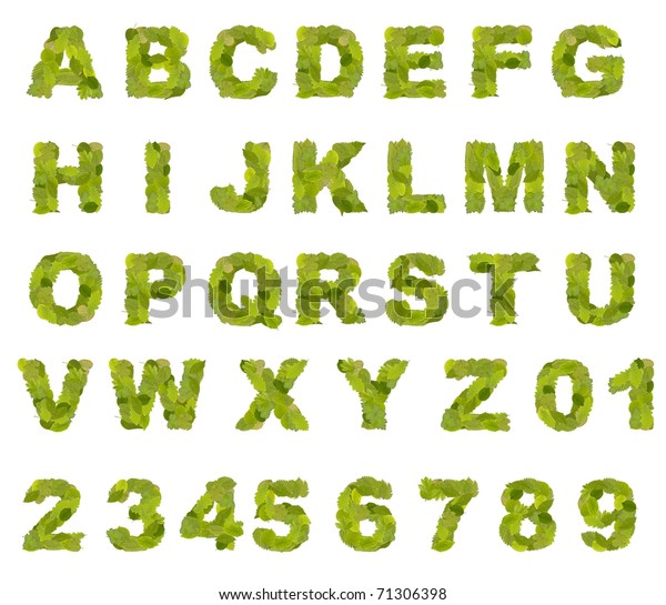 Green Leaf Alphabet Collection Font White Stock Photo (Edit Now) 71306398