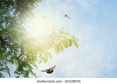 green leaf Background