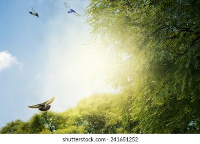 green leaf Background