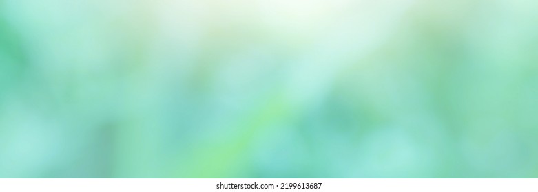 Green Leaf Background. Blurred Leaves And Circular Bokeh. Abstract Wallpaper For Backdrop And Design