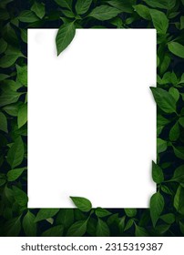 Green leaf background layout with white Box shape. Nature concept. you can input any text or logo