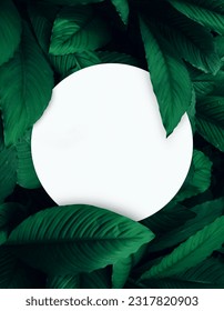 Green leaf background layout with white round corners shape. Nature concept. you can here input any text or logo 
