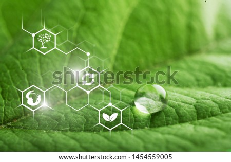 Green leaf with biochemical structure