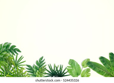 Green Leaf Border On White Background