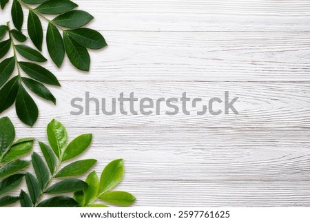Green leaf branches flat lay on white wood background, top view with copy space.