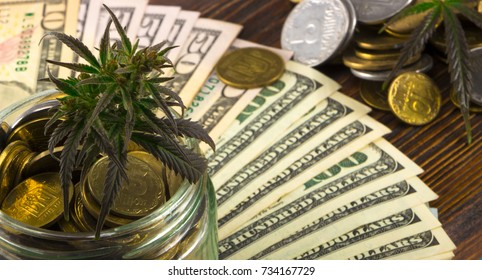 Green Leaf of Cannabis, Marijuana, Ganja, Marihuana, Hemp on a Bill 100 US Dollars. Marijuana business concept. Cannabis leaf and Dollar banknotes.