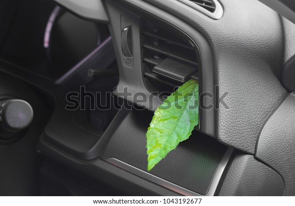 Green leaf in the car air. Clean air\
conditioning.Health-care\
concept.