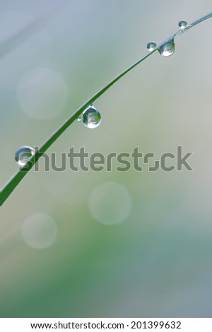 Similar – Foto Bild Wenn die Erde weint Gras