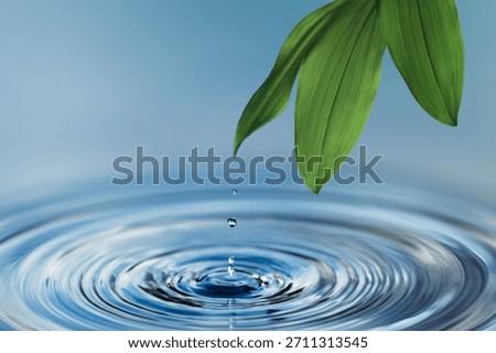 A green leaf and a falling drop of water over a calm surface—a concept of purity, nature, ecology, harmony, spa, and balance.