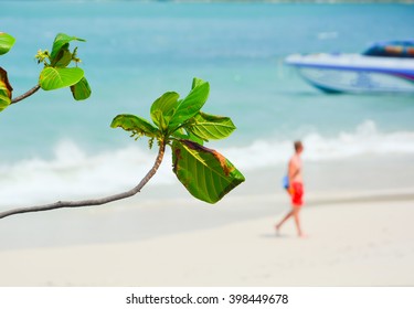 GREEN LEAF IN FOCUS IN FRONT OF THE BEACH,  SEA , BOAT , WHITE WAVE FOAM AND SINGLE TOURIST WALKING ON THE BEACH IN SUNNY DAY, BLURRY BACKGROUND